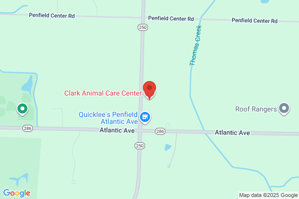 Clark Animal Care Center