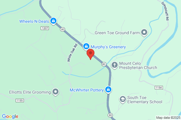 Mt. Mitchell Realty