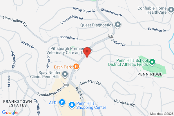 Dominos Pizza Penn Hills