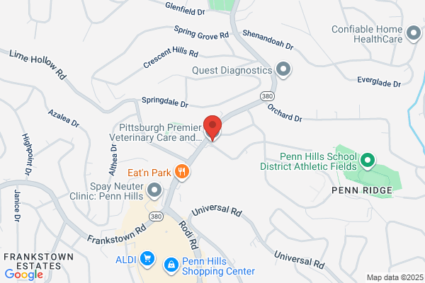 Pittsburgh Premier Vet Care and Rehab