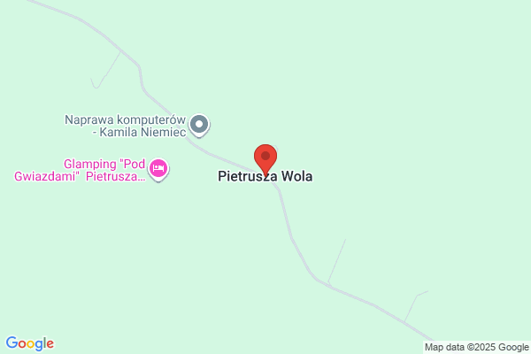 Pietrusza Inc