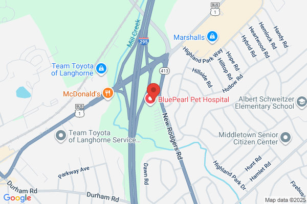Glickstein Jerome M Vmd