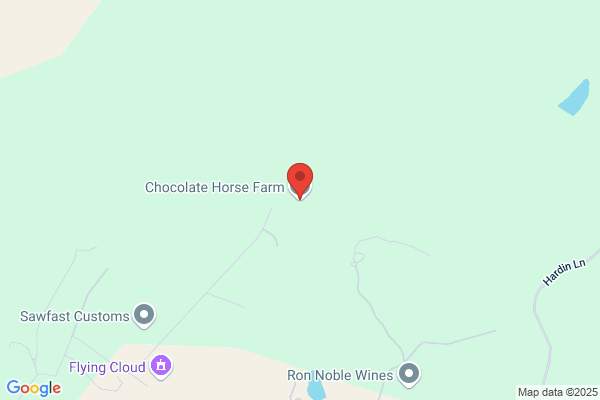 Chocolate Horse