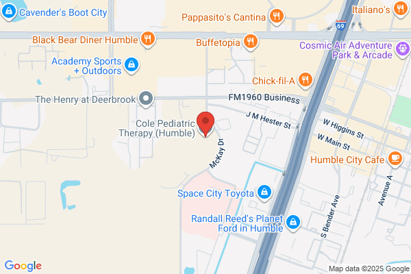 Northeast Dental Associates