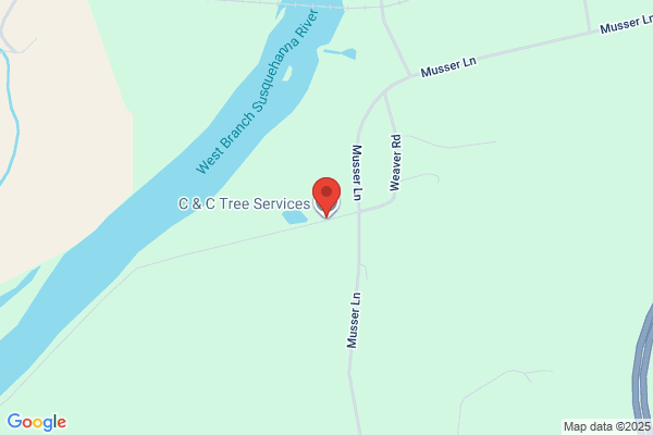 C & C Tree Service