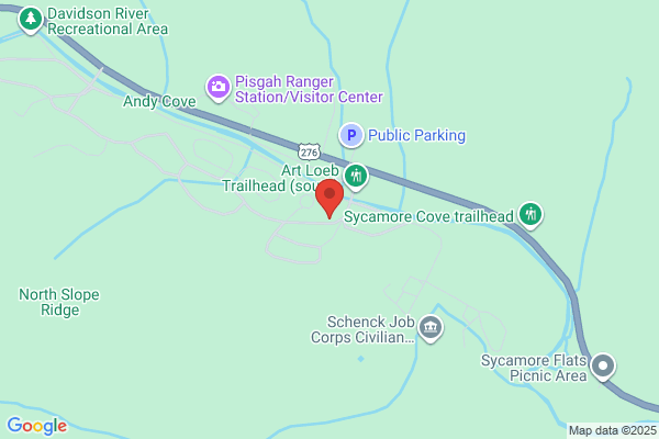 Davidson River Campground