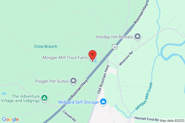 Morgan Mill Trout Farm