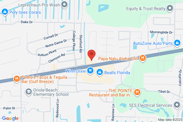 Advance Auto Parts