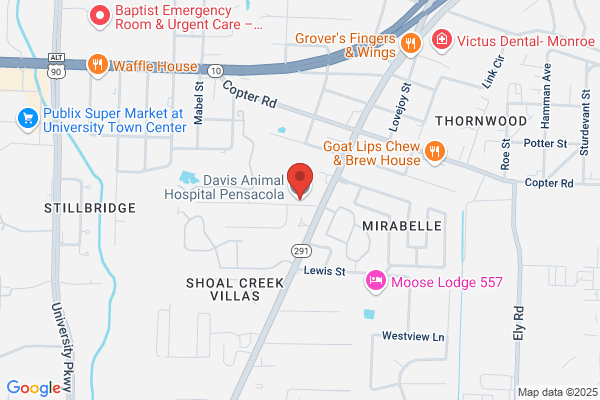 Davis Animal Hospital