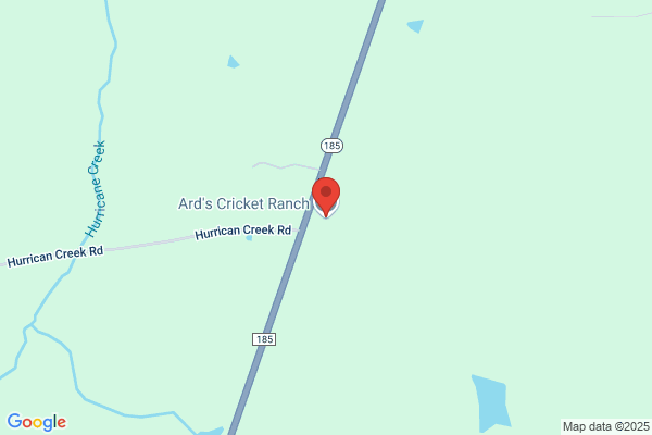 Ards Cricket Ranch