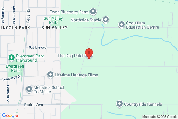 The Dog Patch