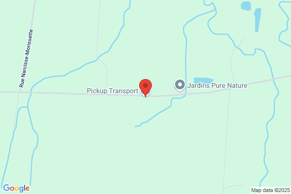 Pick-Up & Transport