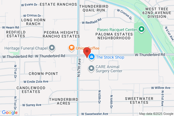 Paseo Ranch Pediatric Dentistry and Orthodontics