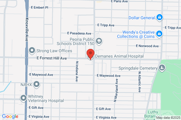 Demanes Animal Hospital