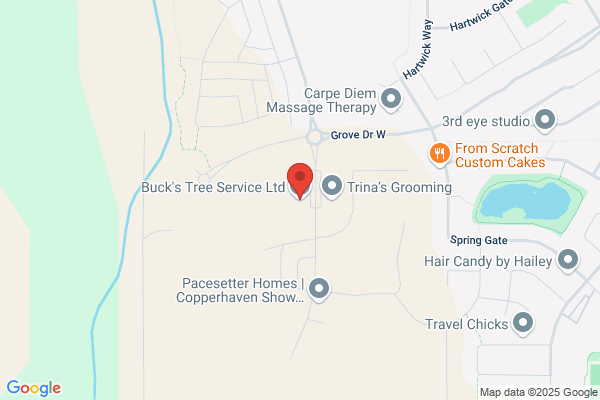 Bucks Tree Service