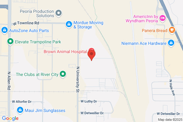 American Oxygen & Medical Equipment Inc