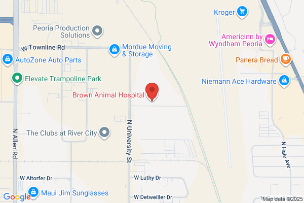 Brown Animal Hospital