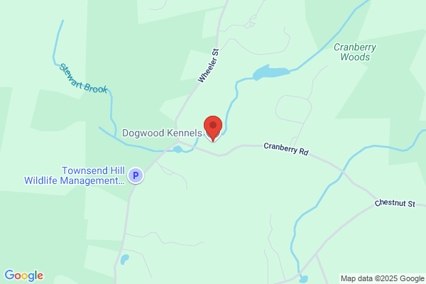 Dayglyn Kennels