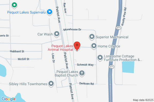 Pequot Lakes Animal Hospital