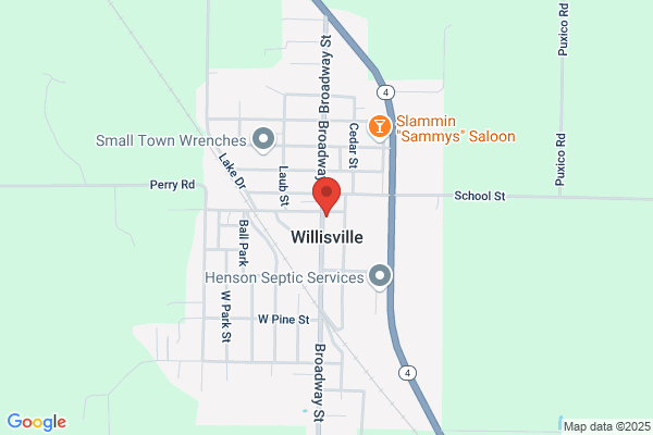 Willisville Public Library