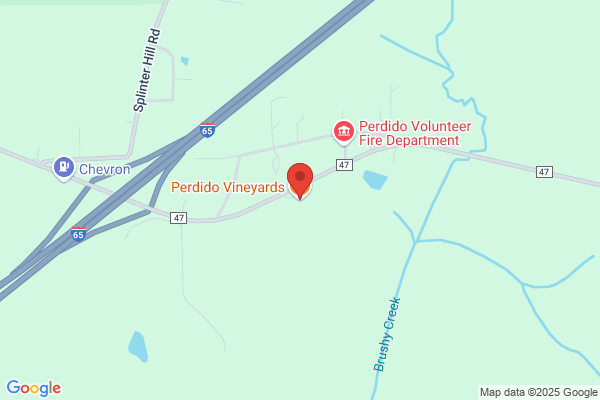 Perdido Vinyards of Georgia