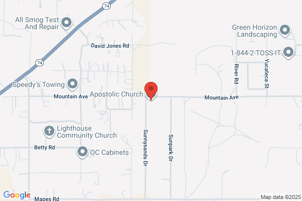 Apostolic Church