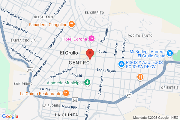 Ayalas Todo En Piel