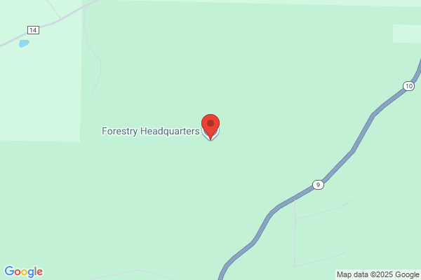 Forestry Consultant-N Alley