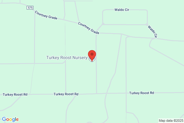 Abe Whitfield & Daughters Turkey Roost Nursery