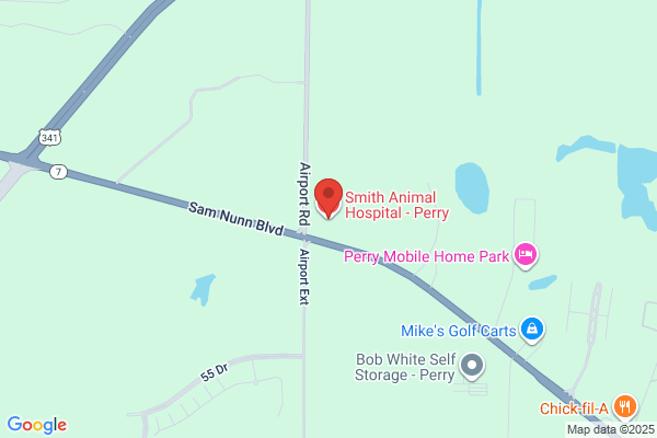 Abbett Hudson - Smith Animal Hospital - Perry