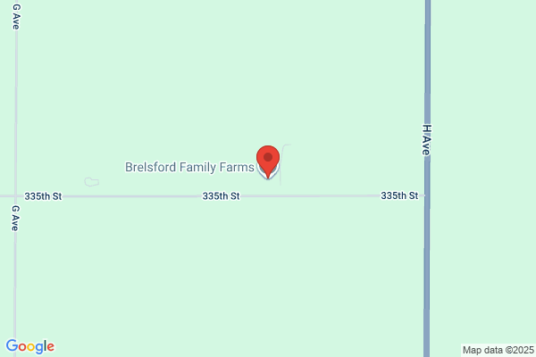 Bruce Thoroughbred Farm