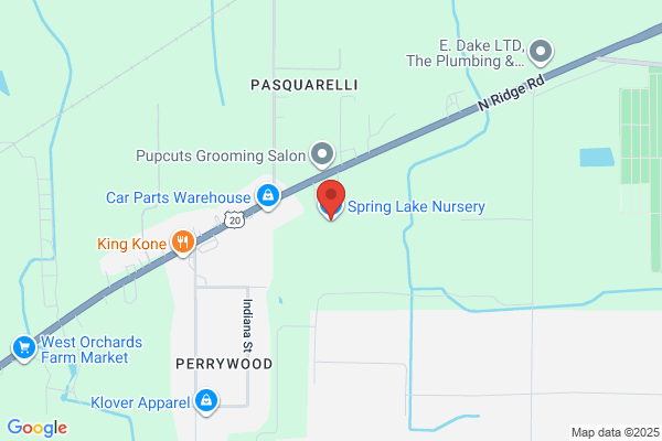 Springlake Nursery
