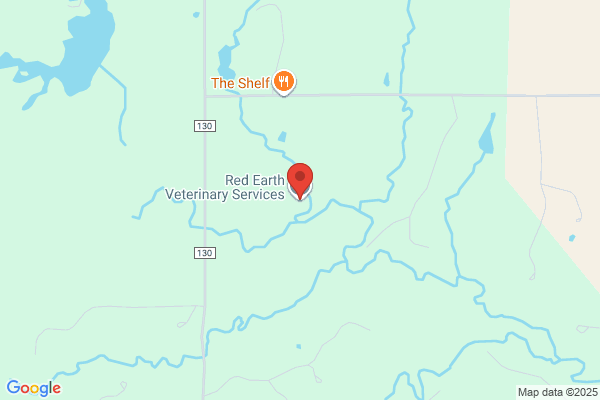 Red Earth Veterinary Services