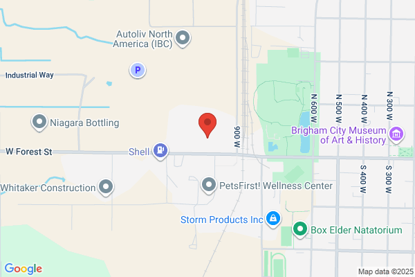 Forest Street Storage, LLC