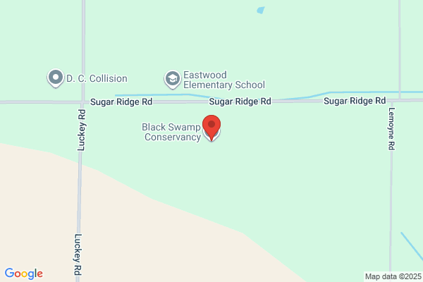 Black Swamp Conservancy