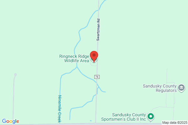 Rocky's Ringneck Ranch