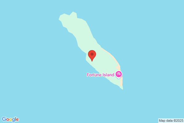 Fortune Island Inc