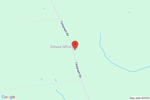 Elmore