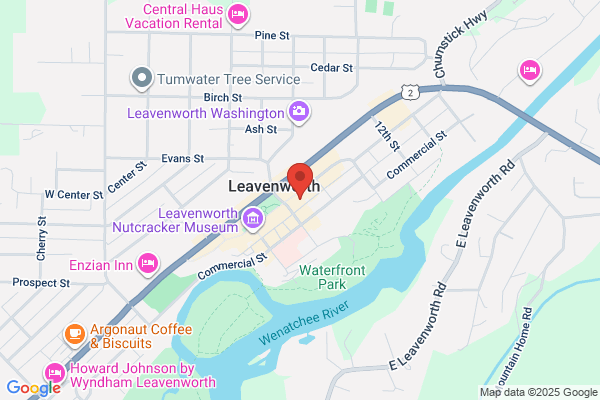 Ludwig's