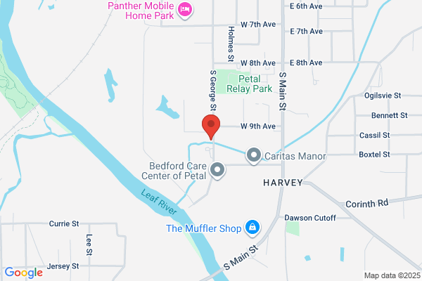 Gulf South Pipeline Company Llc