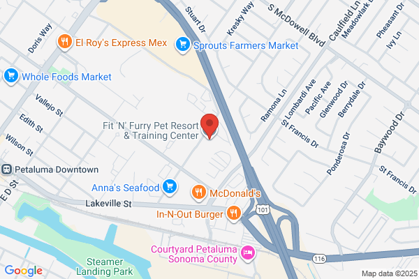 Fit 'N' Furry Pet Resort & Training Center