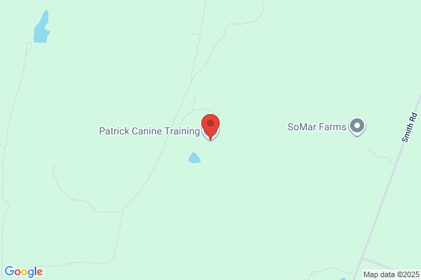 Patrick Canine Training & Boarding