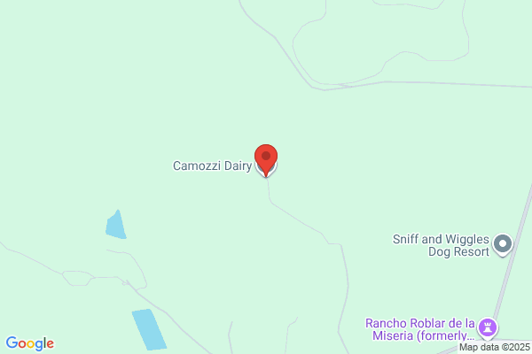 Camozzi Joseph P Dairy