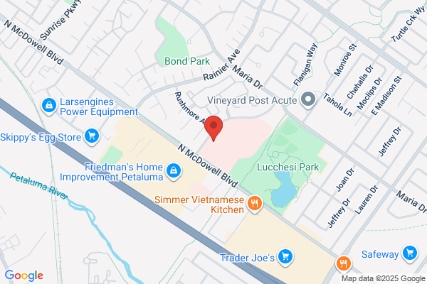 Petaluma Endodontics