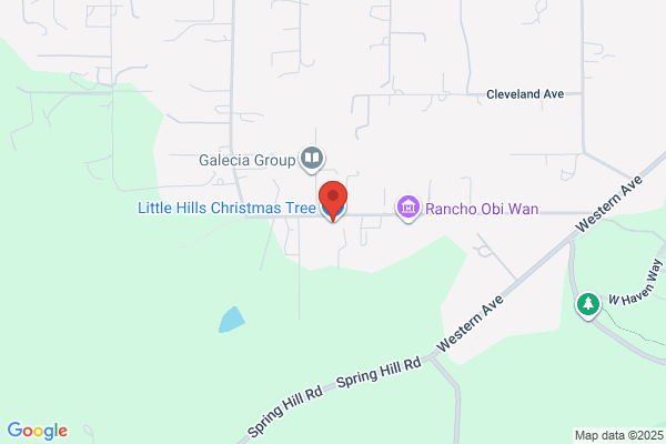Little Hills Christmas Tree Farm