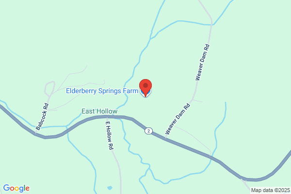 Elderberry Springs Farm, LLC