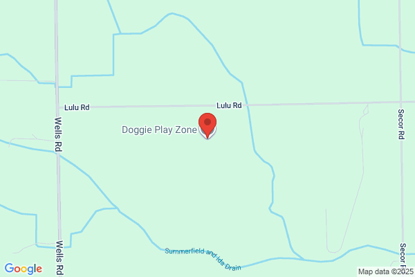 Doggie Play Zone, Inc.