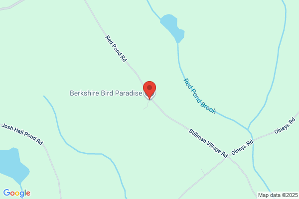 Berkshire Bird Paradise