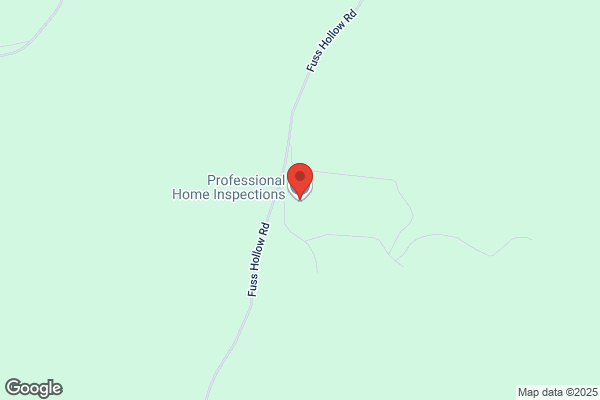 Professional Home Inspections LLC