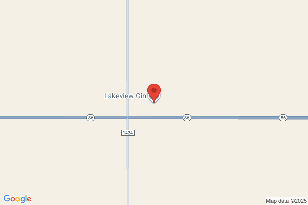 Lakeview Gin Co